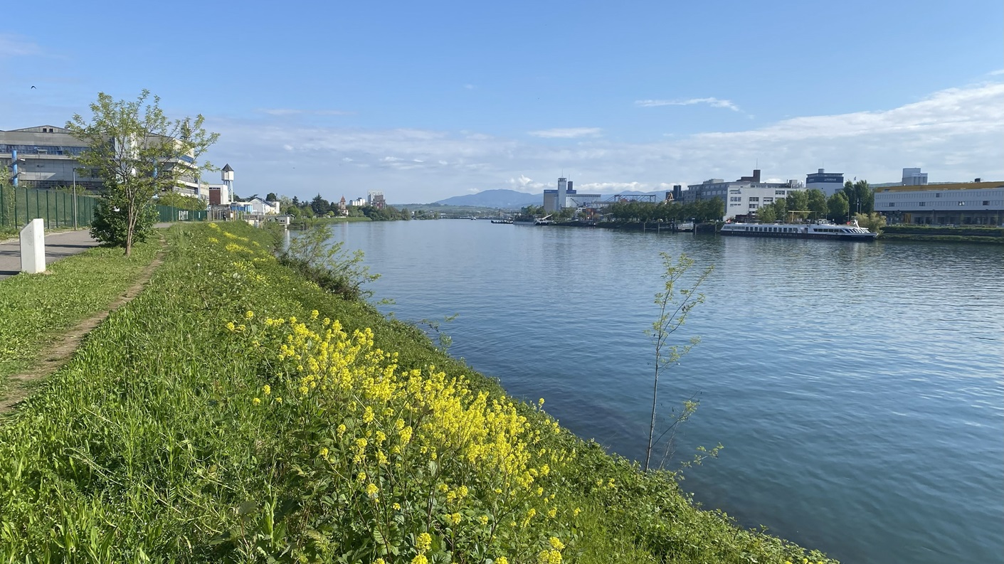 basel_rhein