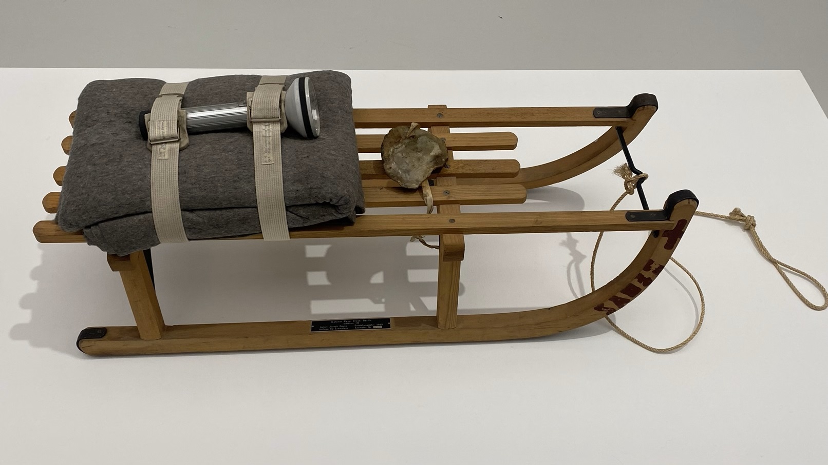 beuys 6